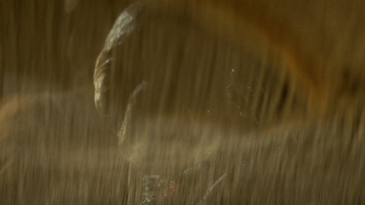 Indiana Jones and the Kingdom of the Crystal Skull