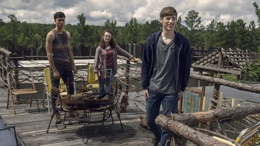 The Walking Dead