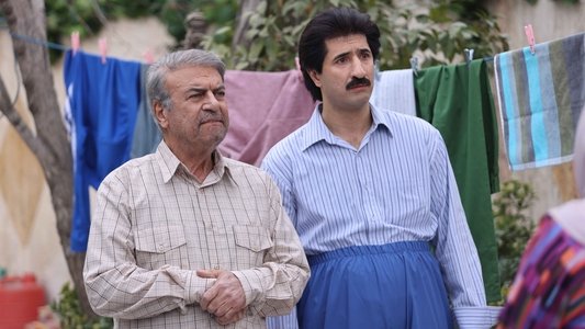 اکازیون