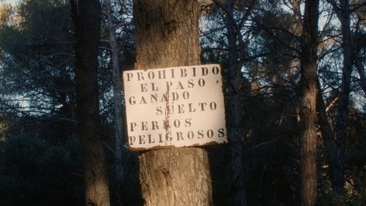 Provocadora