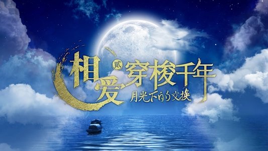 相爱穿梭千年2：月光下的交换