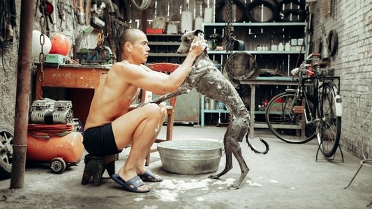 狗陣