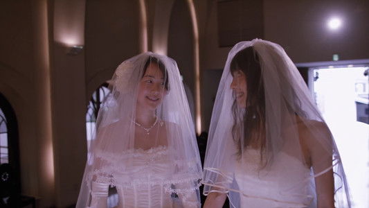 リップヴァンウィンクルの花嫁