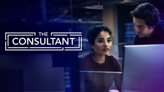 The Consultant