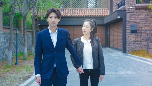看不见的合约恋人