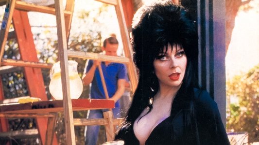 Elvira: Mistress of the Dark