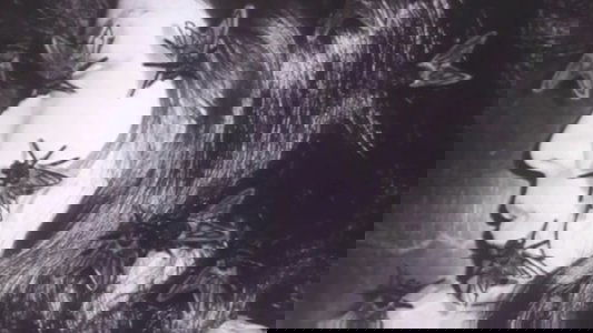 yuЯi=paRadox～眠りは覚醒である～