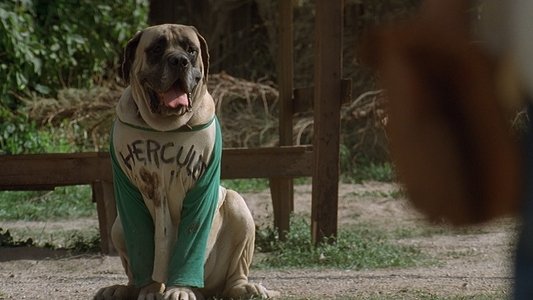 The Sandlot