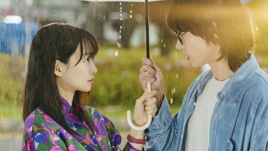 손해 보기 싫어서