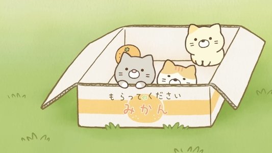アニメ すみっコぐらし そらいろのまいにち