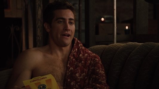 Love & Other Drugs
