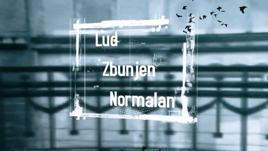 Lud, zbunjen, normalan