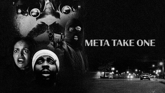 Meta Take One