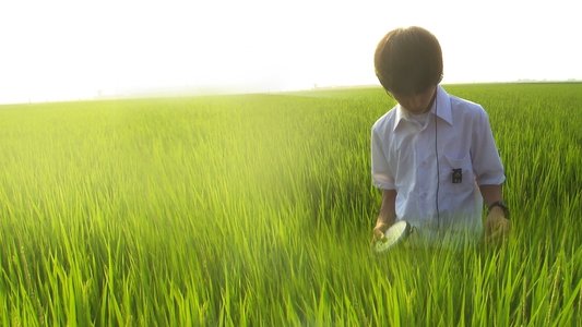 リリイ・シュシュのすべて