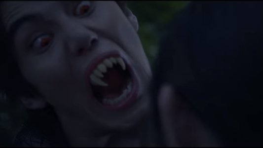 バイバイ、ヴァンプ！