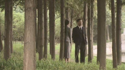 蝴蝶行动