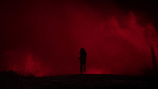 Evil Dead Burn
