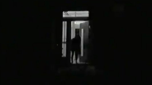The Dollhouse