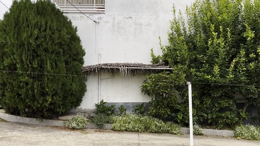 A la porra