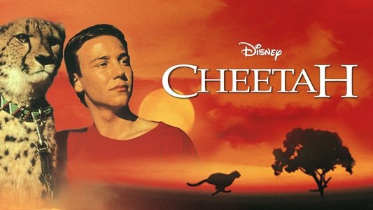 Cheetah