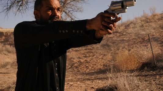 Run & Gun