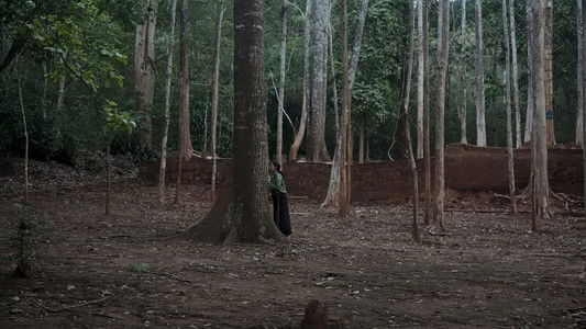 Because Watching Pacifies