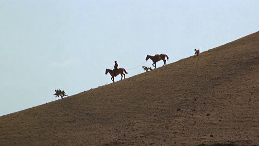 Two Mules for Sister Sara