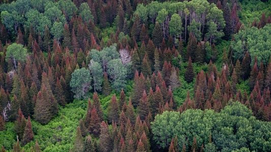 Secrets of Our Living Planet