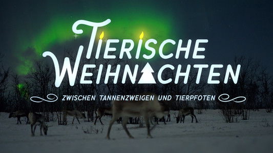 Tierische Weihnachten - Zwischen Tannenzweigen und Tierpfoten