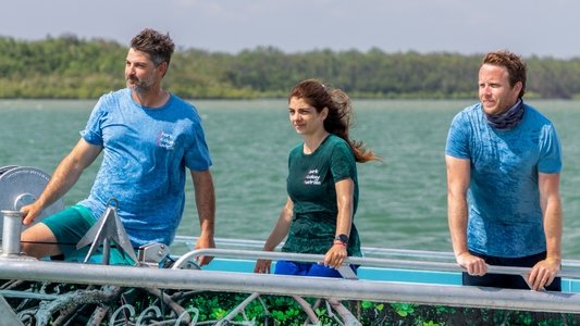 Bull Shark Bandits