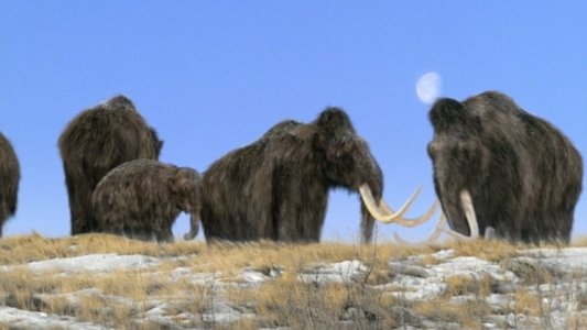 Walking with Beasts