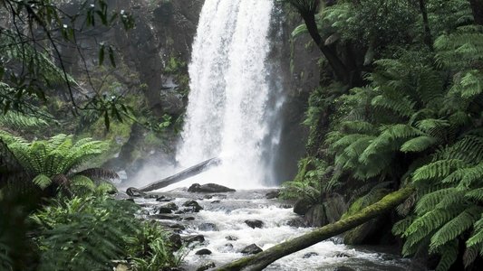 Force of Nature: The Dry 2