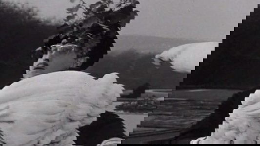 Les Sept de l'escalier 15