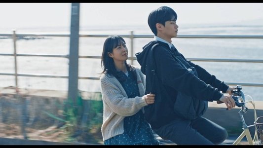 돌핀