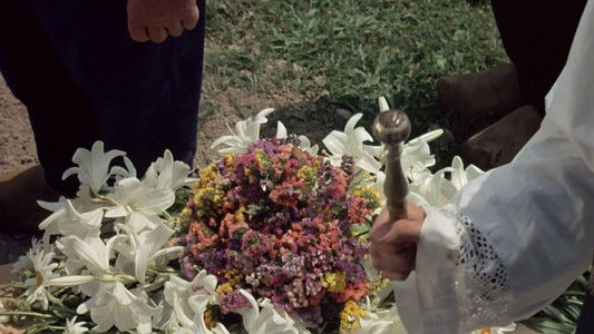 La Faute de l'abbé Mouret