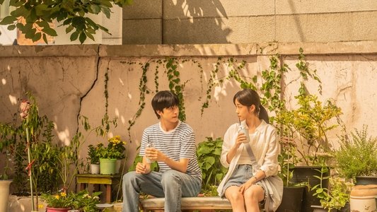 청설