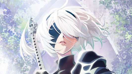 NieR:Automata Ver1.1a