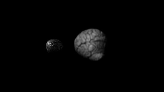 Brian; or, Brain