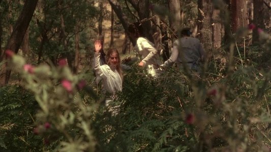 Picnic at Hanging Rock