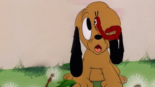 Pluto Junior