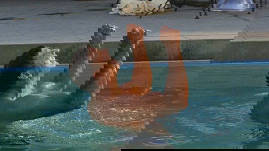 The Swimmer