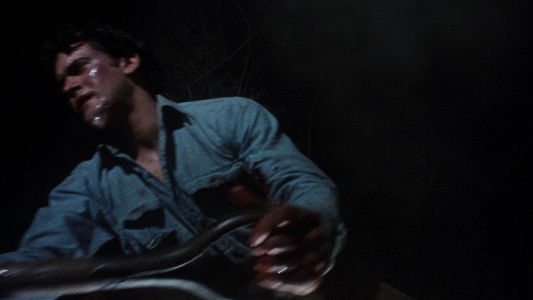 The Evil Dead