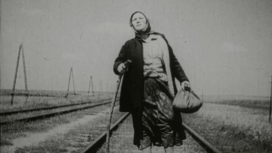 Свині завжди свині
