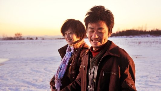 Hello！树先生