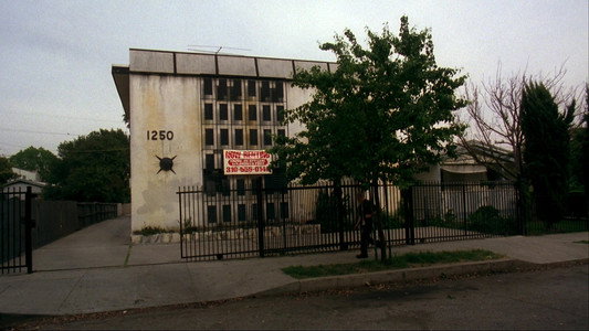 American History X
