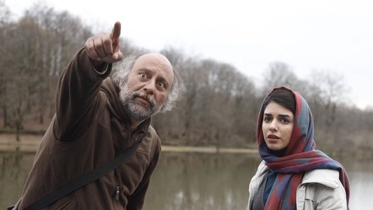ماهی و گربه