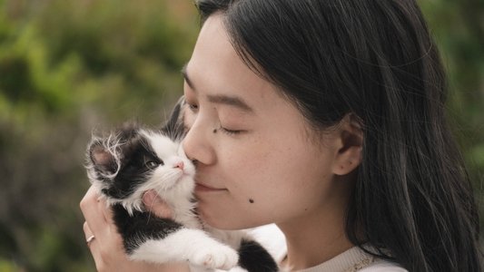 猫は逃げた