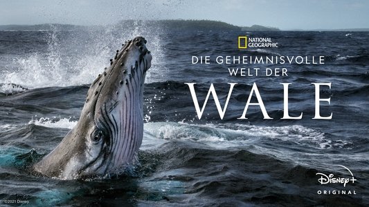 Secrets of the Whales
