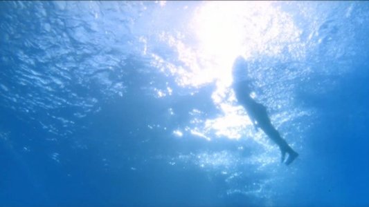 水の中の八月
