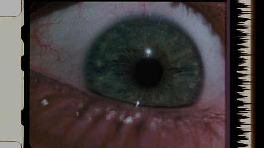 The Texas Chain Saw Massacre